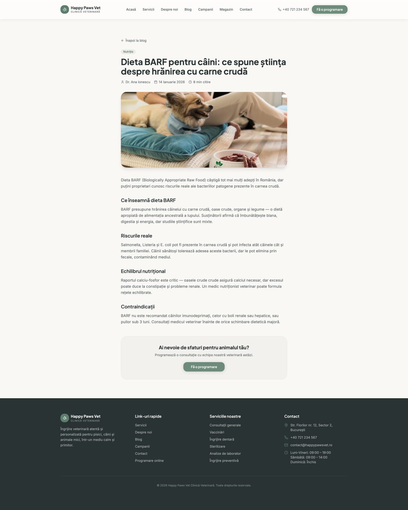 Blog Article